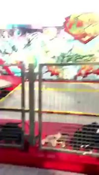 Ohio State Fair Accident 2017