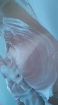 I Hate Showering Alone.