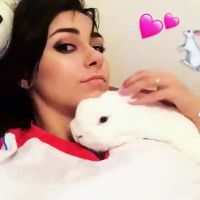 Lucky Rabbit