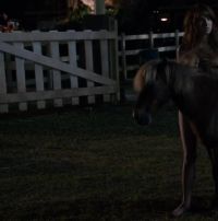 Sugar Lyn Beard's Bushy Plot In Mike And Dave Need Wedding Dates