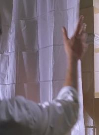 Debra Messing Shower Plot In The Wedding Date