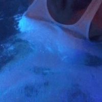 Ultimate Wet T-shirt