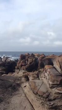 Outdoor Scenic Blowjob