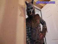 Kharlie Stone , Brunette Spinner Fucks On Halloween