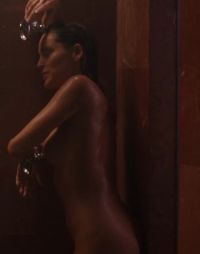 Sharon Stone In The Shower Plot From The Specialist