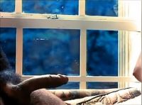 Scarlet Scarleau Sucks On Ron Jeremy In Flesh And Fantasy