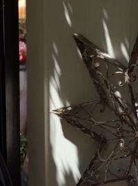 Meghan Falcone Answers The Door On Californication