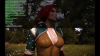 Def The Better Part Of The Witcher 3 Physics Engine