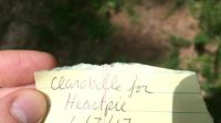 /u/clarabelle_says Gets Naked And Distracted In The Woods…