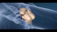 Animation Of A Man Becoming A Women.