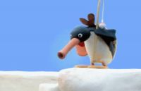 NOOT NOOT