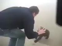Ferocious Bear Mauls A Defenseless Man's Leg.
