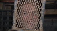 Not Recommended For The Claustrophobic