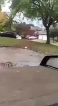 HMB While I Put On A Sumo Suit And Ride This Truck.