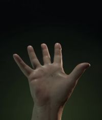 Grisly Cloth Sim