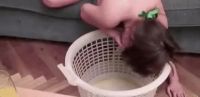 Russian Drunk Girl Goes For More Party