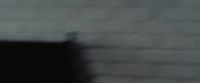 Moon Bloodgood In What Just Happened