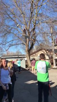 Kid Falls From Tree Trying To Collect Shoes