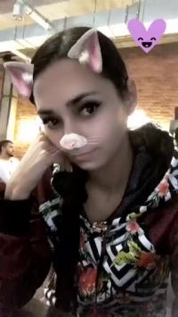 Again With The Dog Filters