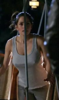 Sarah Shahi's Braless Plot