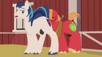 Big Mac X Shining Armor