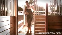 Peta Jensen – Little Piggy Gobbles Down A Big Cock