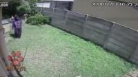 Intruder Almost Mauled To Death By A Dog.