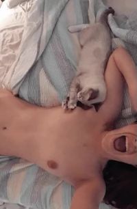 Kitten Nipple Play