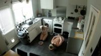 Lunchtime For The Pets