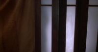 Alyssa Milano In "Poison Ivy II "