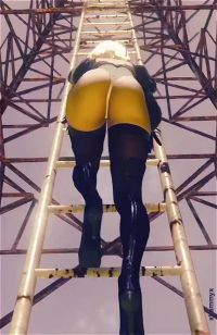 2B Ladder