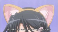 Don't Forget The Nya