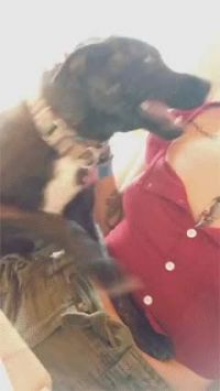Paris Jackson's Dog