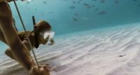 Jessica Alba Underwater Plot