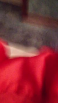 Big Boobs Fucked Wild