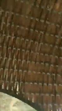 Cara Delevingne Nude On Instagram Stories Quickly Deleted