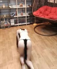 This Asian Girl Loves To Crawl