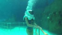 In Turkey – Underwater
