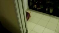 Krissy Lynn – Catching Your Slutty Step Sister In The Shower