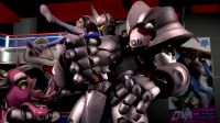 D.Va Getting Reinhandled