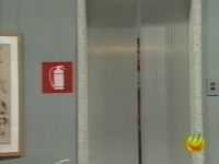 Patrizia Sala – Quo Vadiz