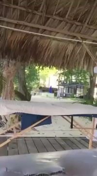 Vacation