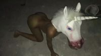 A Werewolf And A Unicorn Get Together