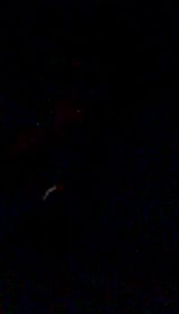 Doctor, We've got a Pulse!