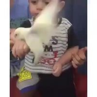 MaMMAl BeAst DevoURs AND RIPS To PiECES HelpLeSs BIRD!!!