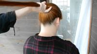 Silky Red Ponytail