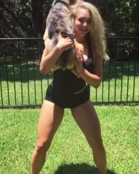 Dog Workout