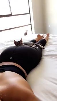 Lucky Cat
