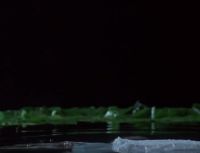 Kate Fischer – Sirens