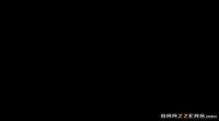 Holly's Amazing Asset